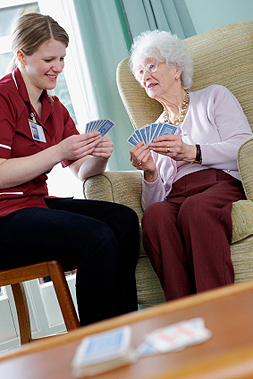 Non-medical Services and Assistance for the Elderly